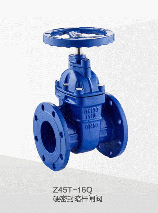 暗(àn)杆防護閘閥